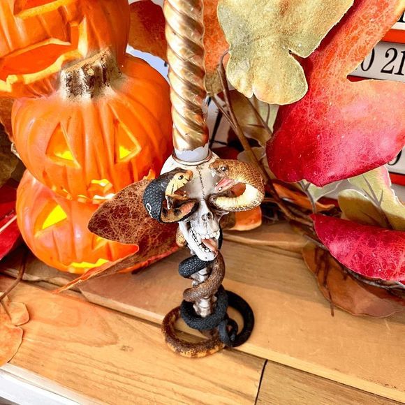 New In Box Resin Skull With Cobra Snakes Candle Stick Holder - Picture 5 of 8